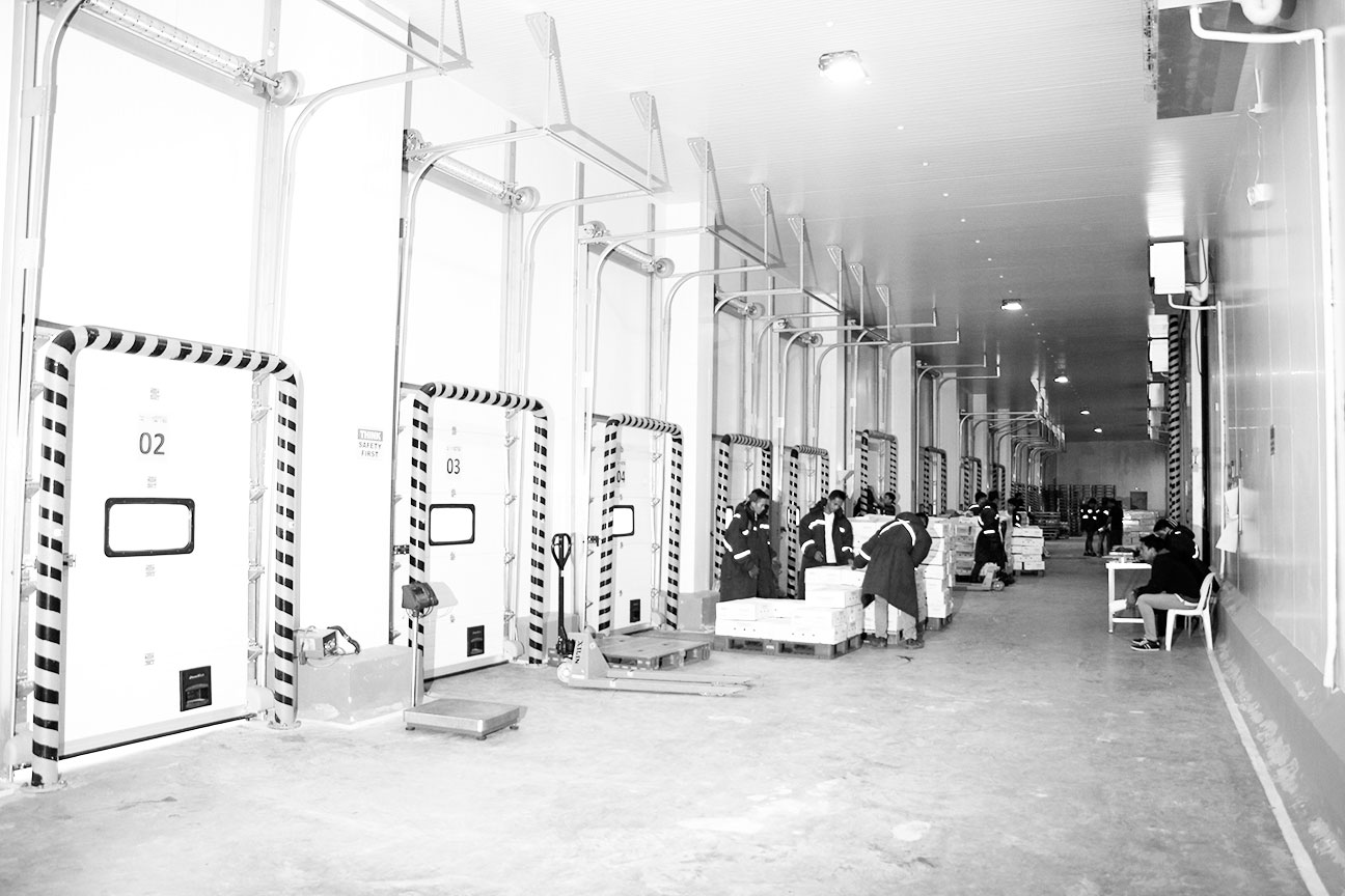 Home Glacier Mega Fridge